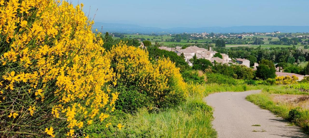Maison De Village En Provence Avec Terrasse De 33M2 Saint-Roman-de-Malegarde エクステリア 写真